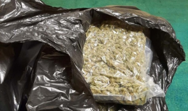 Cannabis in a black bin bag